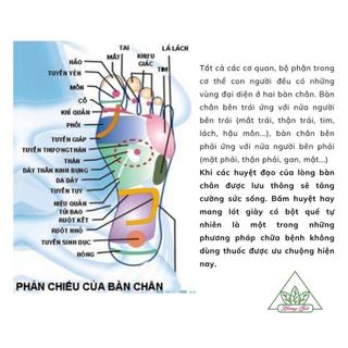 Lót Giầy Lưới Hai Lớp Hương Quế Cao Cấp CI-06