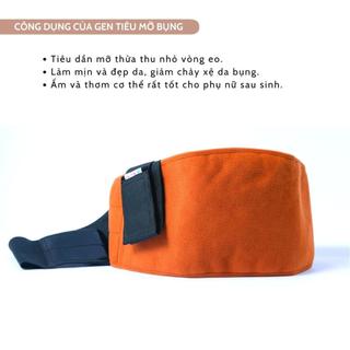 Gen Bụng Dược Liệu Hương Quế SLINE