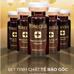 Tinh Chất Tế Bào Gốc  Yobe Cell - Yobe Giúp Tái Tạo Da, Ngăn Ngừa Lão Hóa