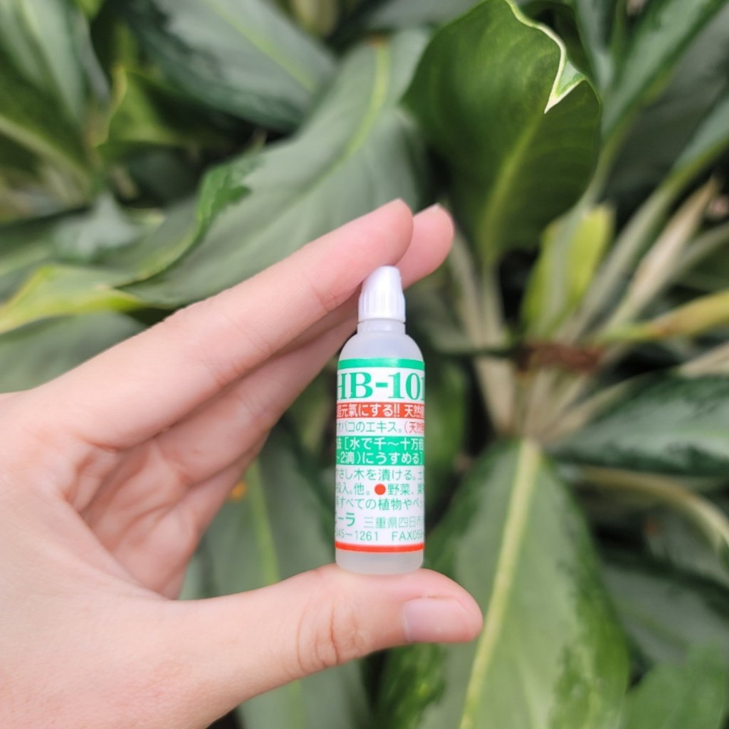 (FREESHIP) Combo Dung Dịch Kích Rễ HB101 Và Keo Liền Da Cây Mỹ Tiên - Dụng Cụ Nông Nghiệp GD Smart