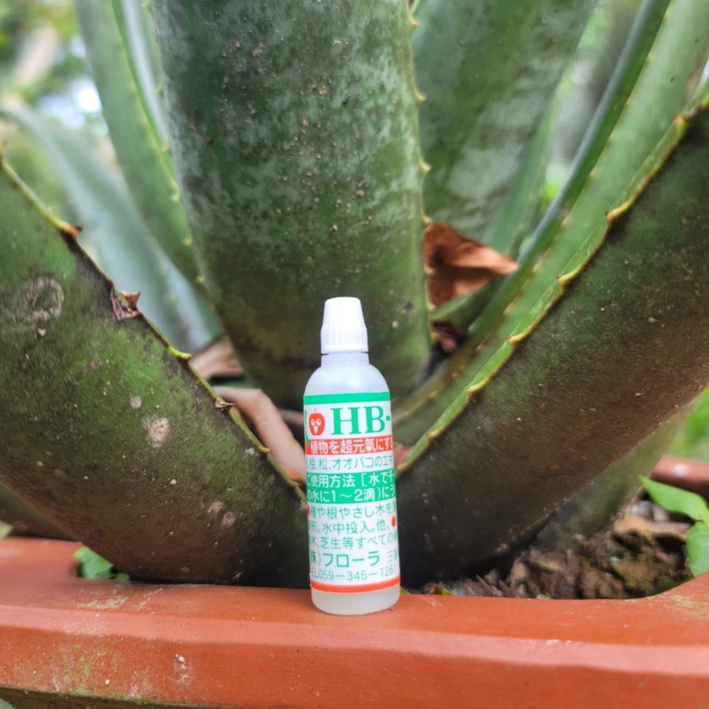 (FREESHIP) Combo Dung Dịch Kích Rễ HB101 Và Keo Liền Da Cây Mỹ Tiên - Dụng Cụ Nông Nghiệp GD Smart