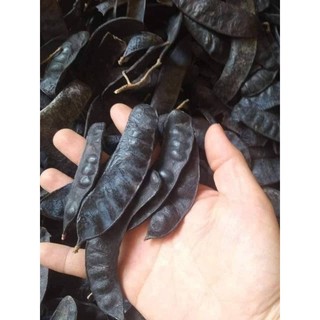 Quả Bồ Kết [QUẢ TO _ KHÔNG LÉP] Gói 1kg Dùng Gội Đầu, Xông Nhà