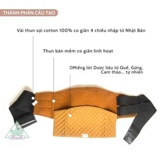 Gen Bụng Dược Liệu Hương Quế SLINE
