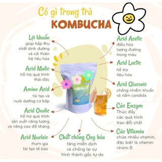 Kombucha Trái Cây 500ml Đủ Vị - Trà Lên Men Nguyên Chất Không Chất Bảo Quản