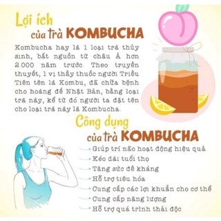 Kombucha Trái Cây 500ml Đủ Vị - Trà Lên Men Nguyên Chất Không Chất Bảo Quản