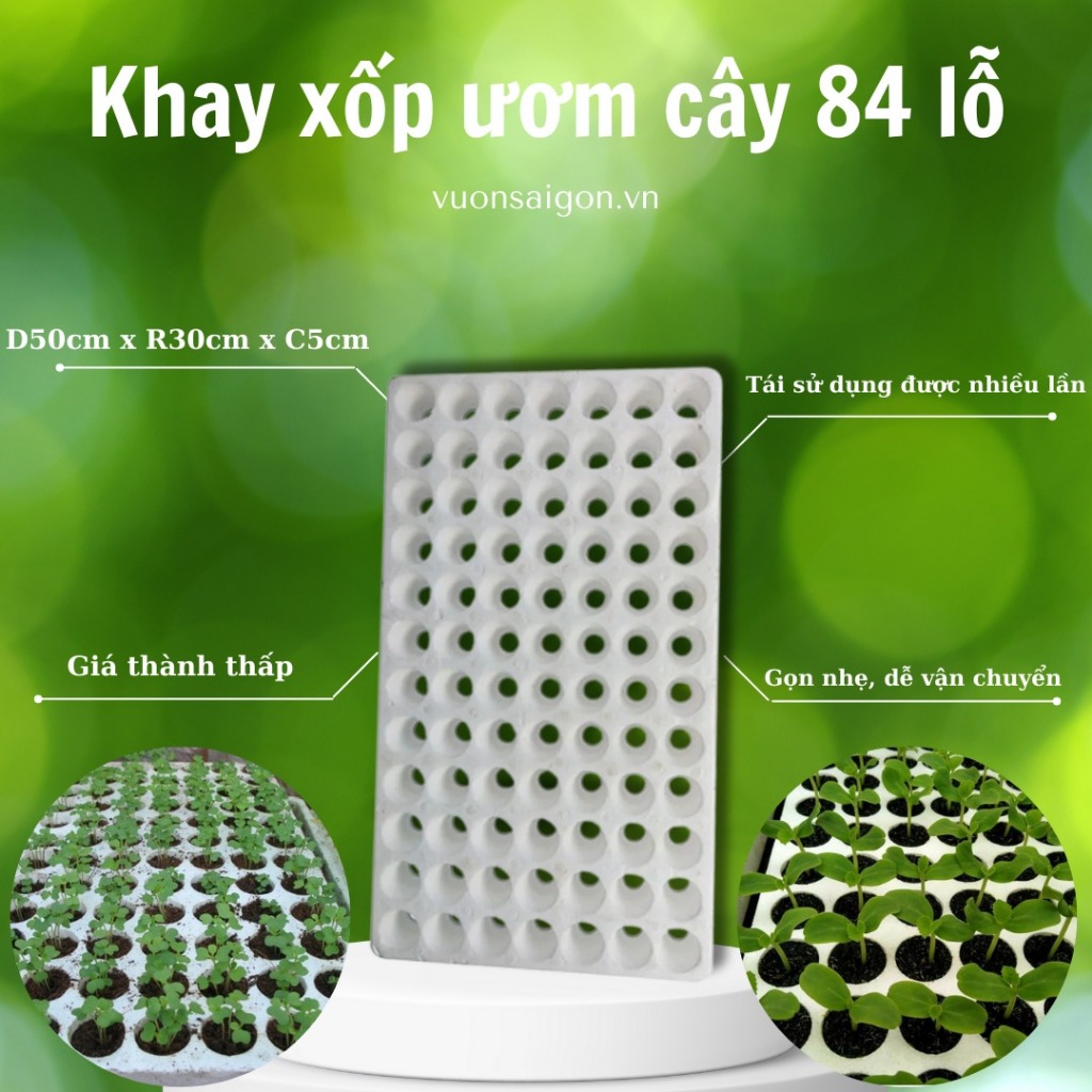 Khay xốp ươm cây 84 lỗ - Khay ươm hạt giống 5