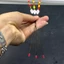 PHAO HỐ ĐẤU LK NANO- LÔNG CÔNG PHIÊN BẢN CHUYÊN CÂU ĐÀI CHÍNH HÃNG LK