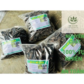 Quả Bồ Kết [QUẢ TO _ KHÔNG LÉP] Gói 1kg Dùng Gội Đầu, Xông Nhà