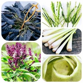 Quả Bồ Kết [QUẢ TO _ KHÔNG LÉP] Gói 1kg Dùng Gội Đầu, Xông Nhà