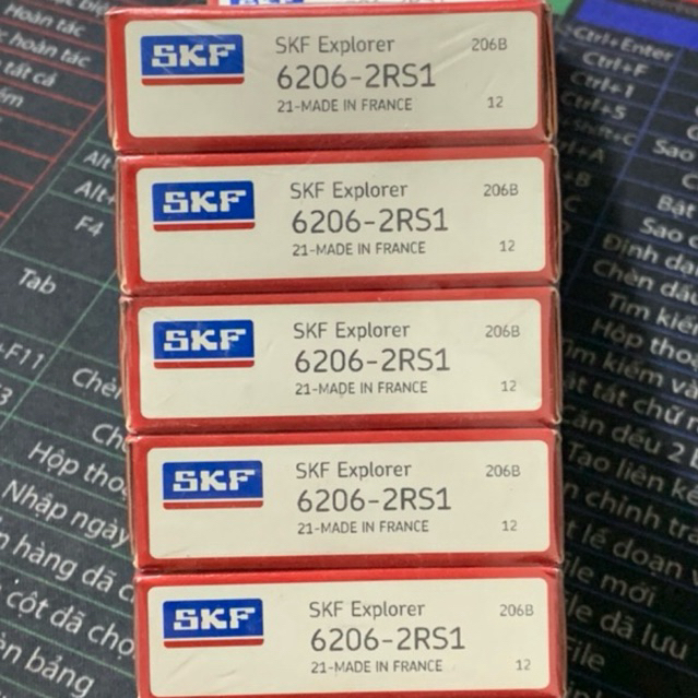 Vòng Bi 6206 SKF 2RS1 ( hàng đẹp )
