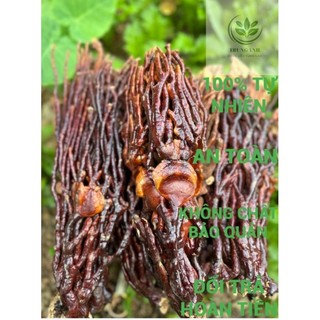 Nấm Linh Chi Sừng Hươu [GIÁ VƯỜN + FREESHIP] Được Phơi Khô Tự Nhiên