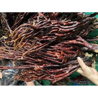 Nấm Linh Chi Sừng Hươu [GIÁ VƯỜN + FREESHIP] Được Phơi Khô Tự Nhiên