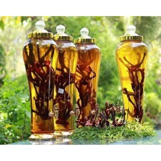 Nấm Linh Chi Sừng Hươu [GIÁ VƯỜN + FREESHIP] Được Phơi Khô Tự Nhiên
