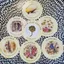 Tea Leaf Fortune Cards - Tiên Tri Bằng Bài Trà (Mystic House Tarot Shop) - Bài Gốc Authentic Chính Hãng
