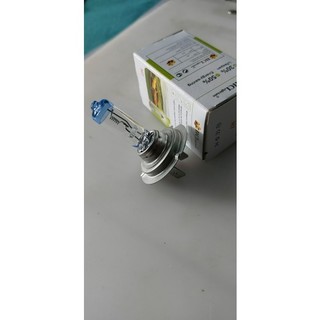Combo 10 bóng đèn ô tô H7 HCL đầu xanh, Bóng đèn pha cos ô tô