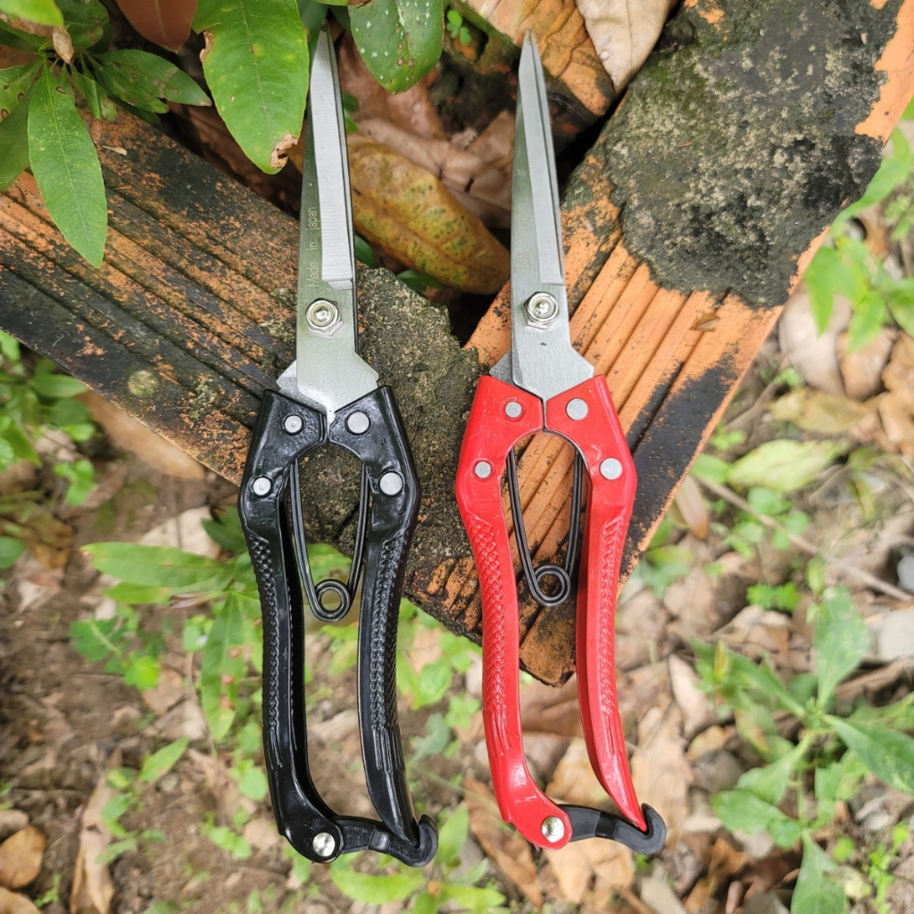 Combo 2 Kéo Tỉa Cành SK5 Kéo Tỉa Dăm Cây Cảnh Bonsai Made In Japan - Dụng Cụ Nông Nghiệp GD Smart