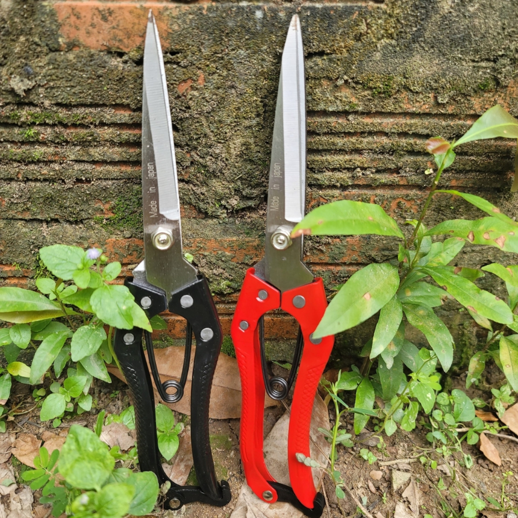 Combo 2 Kéo Tỉa Cành SK5 Kéo Tỉa Dăm Cây Cảnh Bonsai Made In Japan - Dụng Cụ Nông Nghiệp GD Smart