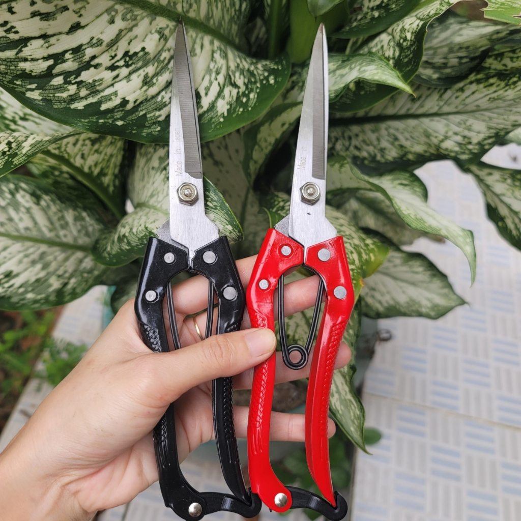 Combo 2 Kéo Tỉa Cành SK5 Kéo Tỉa Dăm Cây Cảnh Bonsai Made In Japan - Dụng Cụ Nông Nghiệp GD Smart