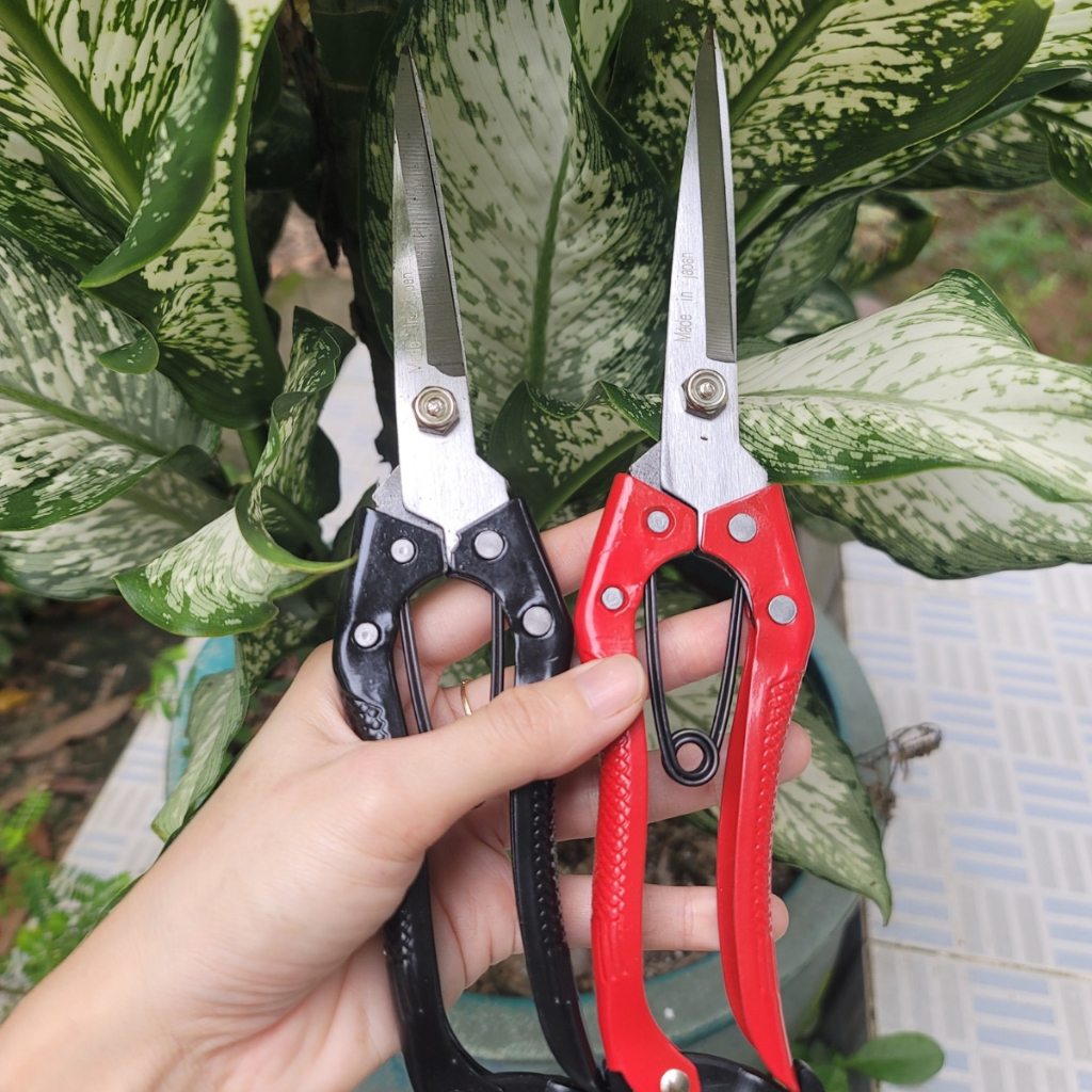 Combo 2 Kéo Tỉa Cành SK5 Kéo Tỉa Dăm Cây Cảnh Bonsai Made In Japan - Dụng Cụ Nông Nghiệp GD Smart