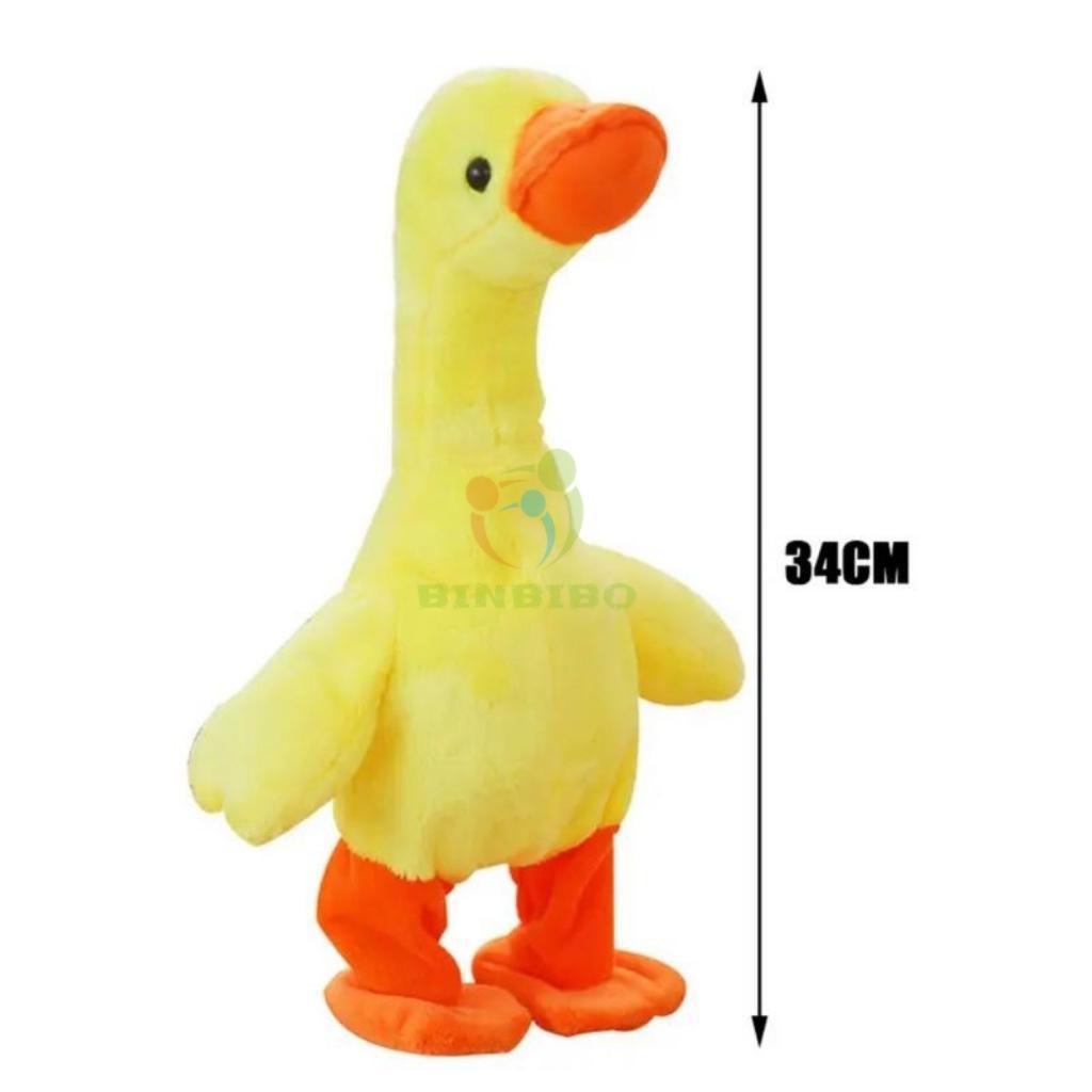 Vịt Nhại Giọng Tiếng Việt POKA biết đi biết nói biết hát cầm cổ kêu quạc quạc như thật - Binbibo