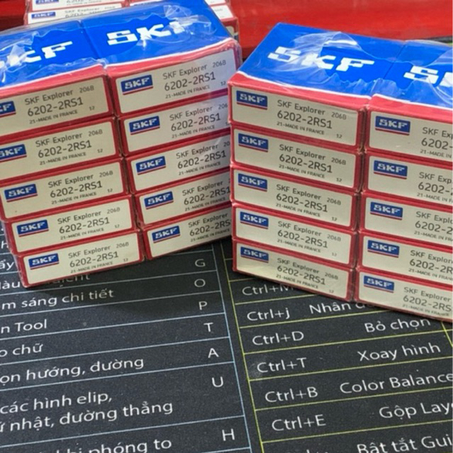 Vòng Bi SKF 6202 2RS1 mạ viền đen bít nhựa