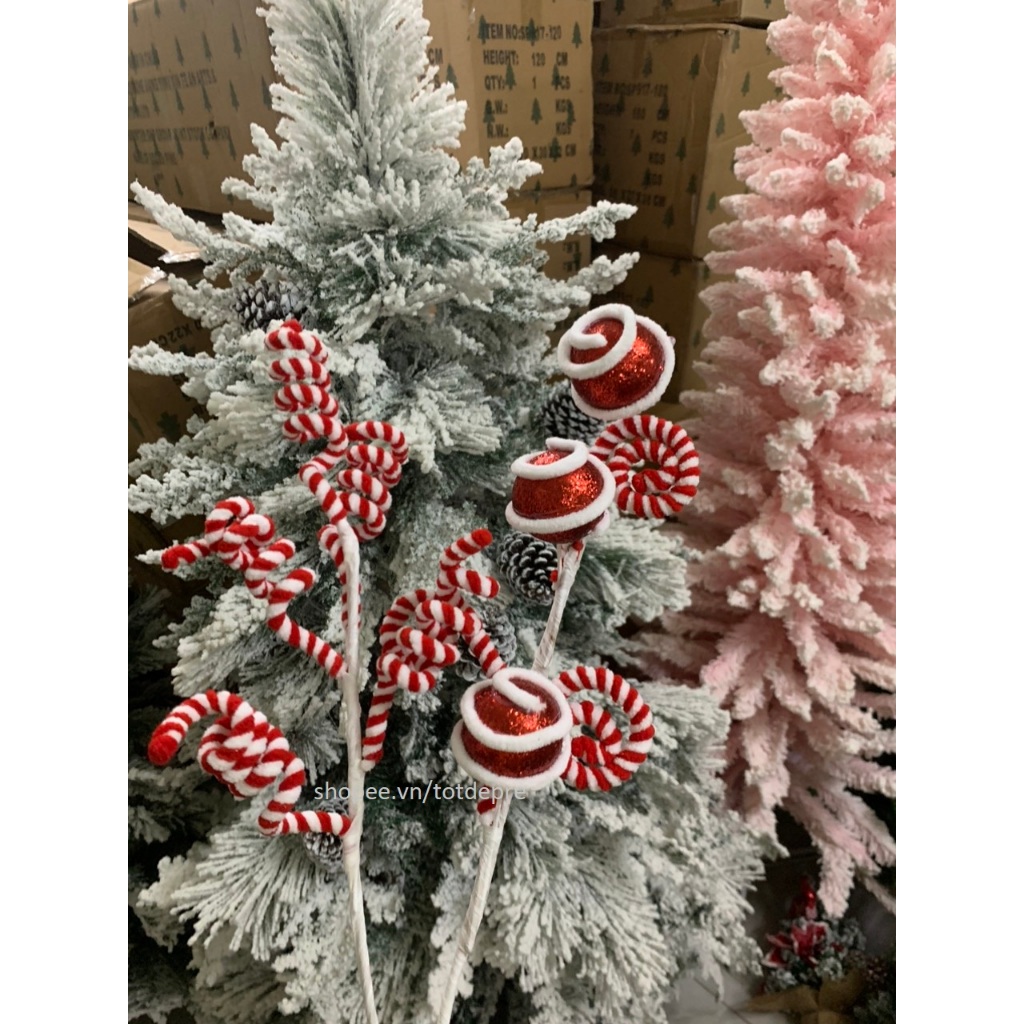 Nhiều mẫu  Chùm cành Kẹo gậy xoắn trang trí Giáng sinh treo lên cây thông Noel