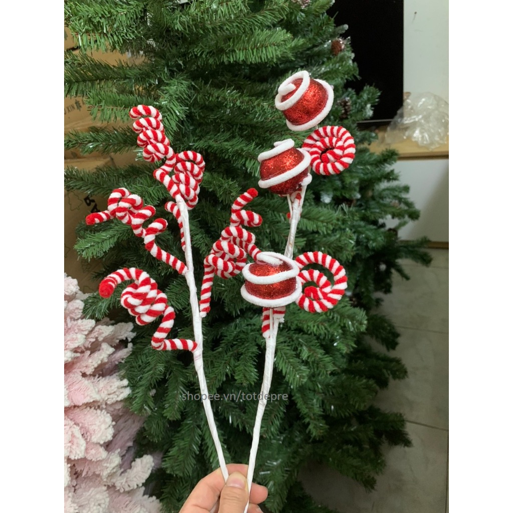 Nhiều mẫu  Chùm cành Kẹo gậy xoắn trang trí Giáng sinh treo lên cây thông Noel