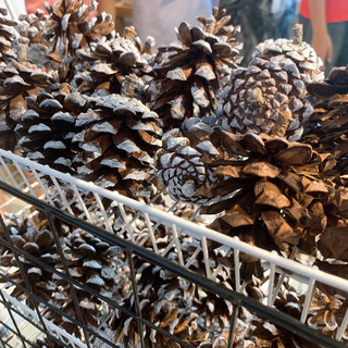 DIY - Quả thông và vật dụng trang trí Giáng Sinh, Noel, chủ đề Mùa Đông ❄️☃️ thiệp, dây cói, sơn trắng, đũa thần