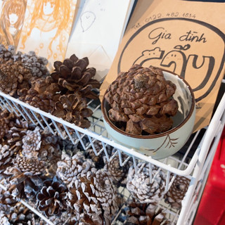 DIY - Quả thông và vật dụng trang trí Giáng Sinh, Noel, chủ đề Mùa Đông ❄️☃️ thiệp, dây cói, sơn trắng, đũa thần