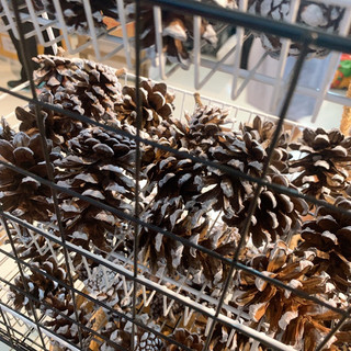 DIY - Quả thông và vật dụng trang trí Giáng Sinh, Noel, chủ đề Mùa Đông ❄️☃️ thiệp, dây cói, sơn trắng, đũa thần