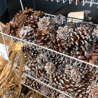 DIY - Quả thông và vật dụng trang trí Giáng Sinh, Noel, chủ đề Mùa Đông ❄️☃️ thiệp, dây cói, sơn trắng, đũa thần