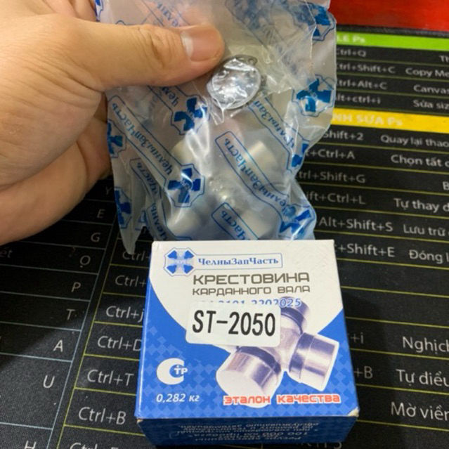 Vòng Bi Chữ Thập 20x50