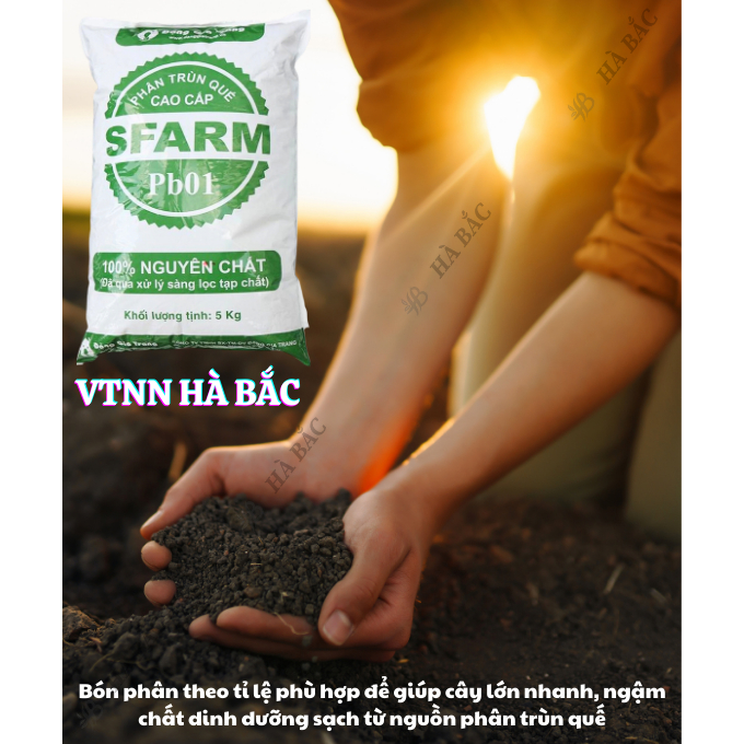 Phân Trùn Quế - Phân Bón Hữu Cơ SFARM PB01 Bọc 5KG Đặng Gia Trang, Đã Xử Lý Dinh Dưỡng Cho Cây Trồng