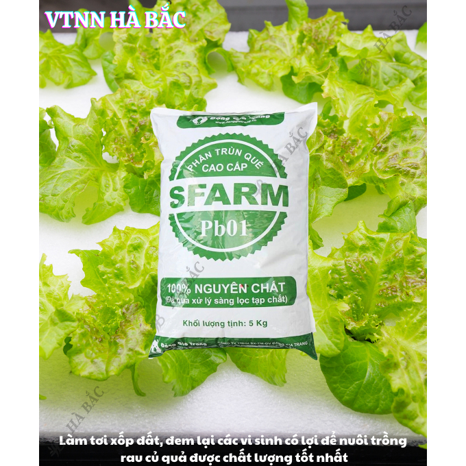 Phân Trùn Quế - Phân Bón Hữu Cơ SFARM PB01 Bọc 5KG Đặng Gia Trang, Đã Xử Lý Dinh Dưỡng Cho Cây Trồng