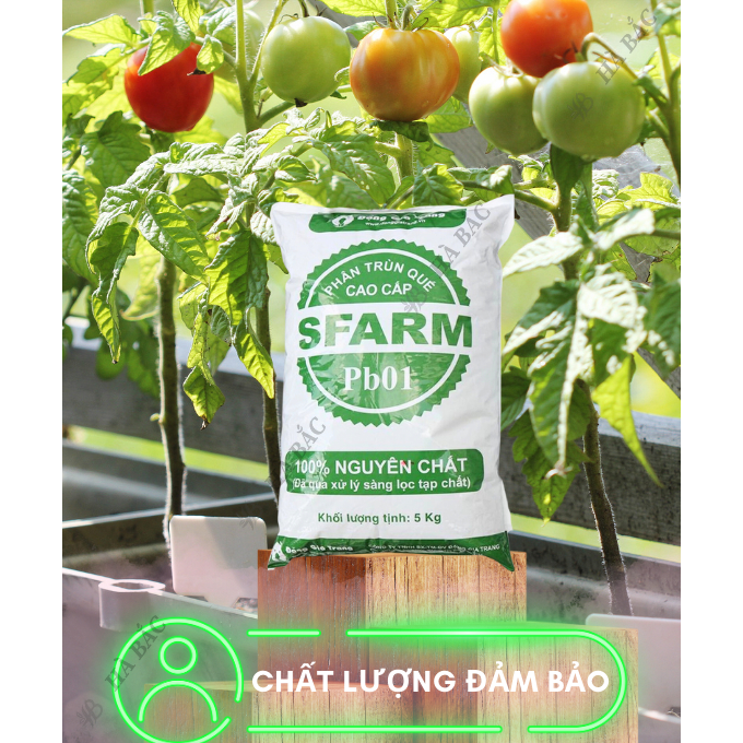 Phân Trùn Quế - Phân Bón Hữu Cơ SFARM PB01 Bọc 5KG Đặng Gia Trang, Đã Xử Lý Dinh Dưỡng Cho Cây Trồng