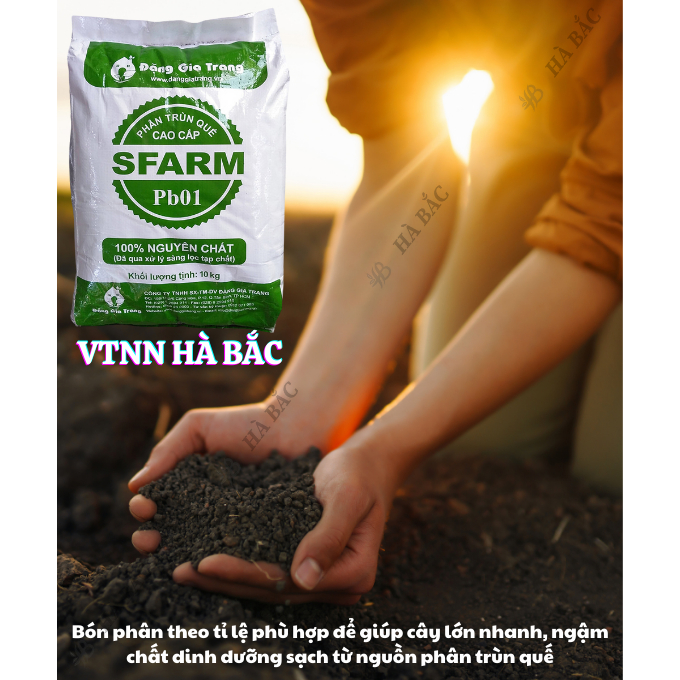 Phân Trùn Quế - Phân Bón Hữu Cơ SFARM PB01 Bọc 10KG Đặng Gia Trang, Đã Xử Lý, Dinh Dưỡng Cây Trồng