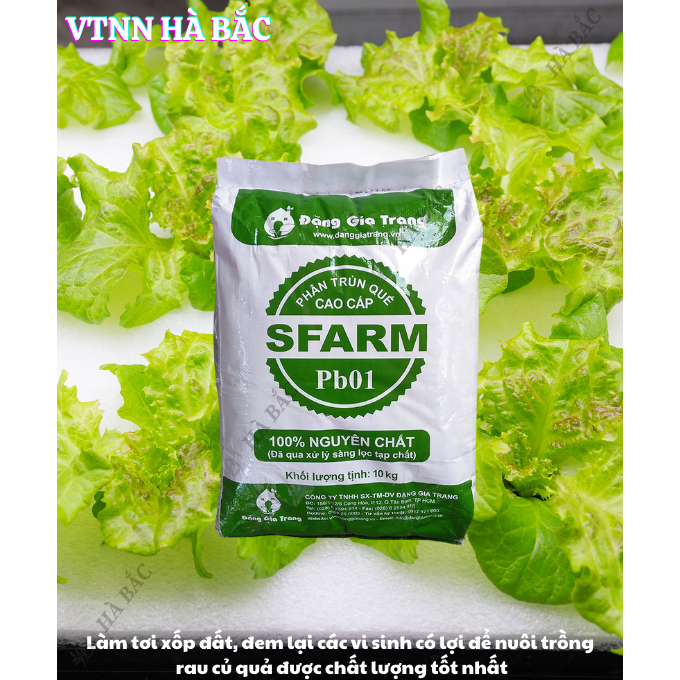 Phân Trùn Quế - Phân Bón Hữu Cơ SFARM PB01 Bọc 10KG Đặng Gia Trang, Đã Xử Lý, Dinh Dưỡng Cây Trồng