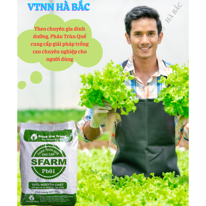Phân Trùn Quế - Phân Bón Hữu Cơ SFARM PB01 Bọc 10KG Đặng Gia Trang, Đã Xử Lý, Dinh Dưỡng Cây Trồng