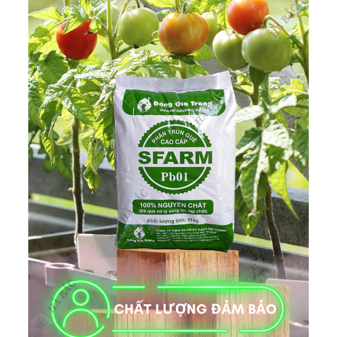 Phân Trùn Quế - Phân Bón Hữu Cơ SFARM PB01 Bọc 10KG Đặng Gia Trang, Đã Xử Lý, Dinh Dưỡng Cây Trồng
