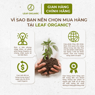 Yến mạch cán mỏng hữu cơ Markal 500g