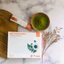 Bột Chùm Ngây Quảng Thanh Hộp 45g, Sấy Lạnh Nguyên Chất, Bột dinh dưỡng ăn dặm, tăng cường sức khỏe