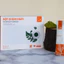 Bột Chùm Ngây Quảng Thanh Hộp 45g, Sấy Lạnh Nguyên Chất, Bột dinh dưỡng ăn dặm, tăng cường sức khỏe