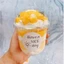 Cốc Bầu, Cốc Chữ U 360ml, 500ml, 700ml phi 95 Đựng Trà Sữa, Nước Ép, Cafe Đủ Loại Nắp - Tổng Kho Hải Hạnh