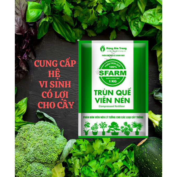 Viên Nén Trùn Quế SFARM - Phân Dưỡng Vi Sinh Cao Cấp Loại 1KG, Giúp Tăng Năng Suất Cao Cho Cây Trồng