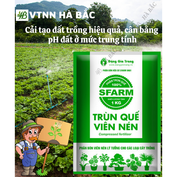Viên Nén Trùn Quế SFARM - Phân Dưỡng Vi Sinh Cao Cấp Loại 1KG, Giúp Tăng Năng Suất Cao Cho Cây Trồng