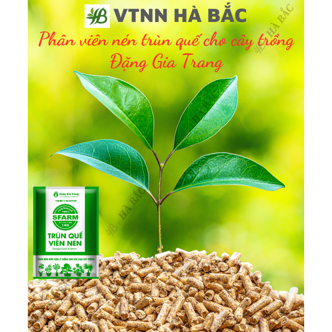 Viên Nén Trùn Quế SFARM - Phân Dưỡng Vi Sinh Cao Cấp Loại 1KG, Giúp Tăng Năng Suất Cao Cho Cây Trồng