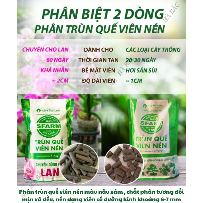 Viên Nén Trùn Quế SFARM - Phân Dưỡng Vi Sinh Cao Cấp Loại 1KG, Giúp Tăng Năng Suất Cao Cho Cây Trồng