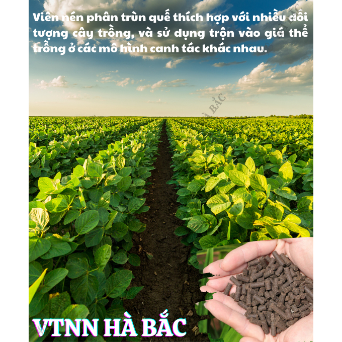 Phân Gà Viên Nhật Bản AKI - Loại 15KG Dùng Cho Tất Cả Các Loại Cây, Phù Hợp Với Các Giai Đoạn Của Cây