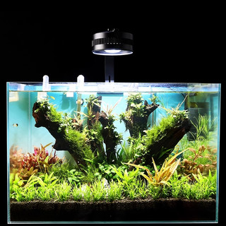 Đèn thủy sinh Ledesk (72W, 50W, 30W) cao cấp cho bể cá cảnh Biotope