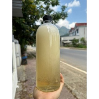 Mật Ong Hoa Blong Song - Mật Ong Trắng [ DÒNG MẬT ONG T.HU.ỐC ] Sản Phẩm Của Núi Rừng Tây Bắc